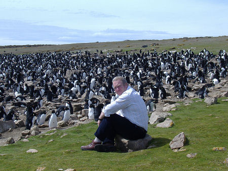 Falklands - penguins